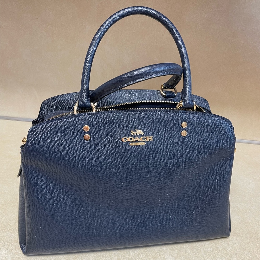 Coach Lillie Carryall Full Size